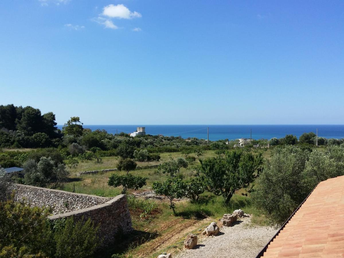 Antica Masseria Ficazzana - Tenuta Марина-ди-Песколузе Экстерьер фото
